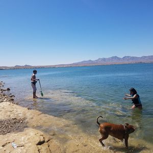 Meet your Posher, Johnny